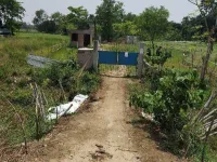  Agricultural Land for Rent in Madanpur, Nadia