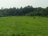  Agricultural Land for Sale in Horawala, Dehradun