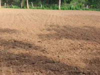  Agricultural Land for Sale in T. Sundupalli, Cuddapah