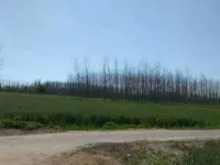  Agricultural Land for Sale in Anandpur Sahib, Rupnagar