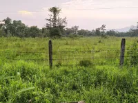  Agricultural Land for Sale in Kolad, Raigad