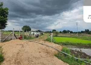 Agricultural Land for Sale in Moinabad, Hyderabad