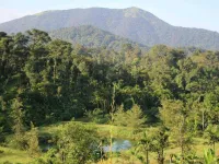  Agricultural Land for Sale in Coorg, Mysore