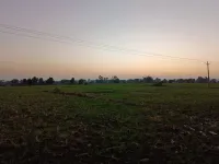  Commercial Land for Sale in Khalesar, Umaria