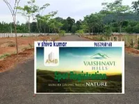  Residential Plot for Sale in Gandigundam, Visakhapatnam