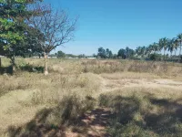  Industrial Land for Rent in Malur, Bangalore