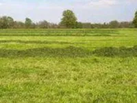  Residential Plot for Sale in Ramachandrapuram, East Godavari