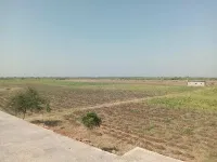 Agricultural Land for Sale in Dhrangadhra, Surendranagar