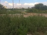  Agricultural Land for Sale in Dwarka Expressway, Gurgaon