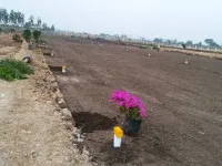 Residential Plot for Sale in Namburu, Guntur
