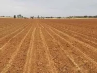  Agricultural Land for Sale in Mannarkkad, Palakkad