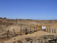  Agricultural Land for Sale in Alathur, Palakkad