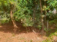  Residential Plot for Sale in Vadakkencherry, Palakkad