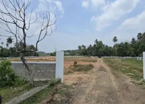 Residential Plot for Sale in Vadakkencherry, Palakkad