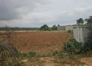 Residential Plot for Sale in Sarjapur, Bangalore