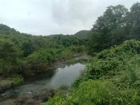 Agricultural Land for Sale in Sangameshwar, Ratnagiri