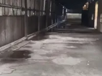  Warehouse for Rent in Gozaria, Mehsana