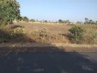  Agricultural Land for Sale in Berasia, Bhopal