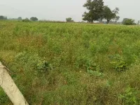  Agricultural Land for Sale in Rura, Kanpur Dehat