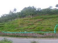  Agricultural Land for Sale in Narkand, Shimla