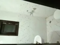 2 BHK Flat for Sale in Teacher Colony, Mehrauli, Delhi