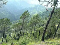  Agricultural Land for Sale in Kasauli, Solan