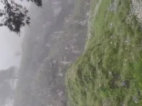  Agricultural Land for Sale in Mussoorie, Dehradun