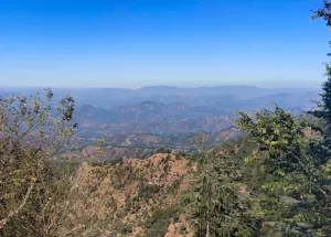 Agricultural Land for Sale in Kasauli, Solan