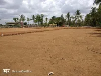  Residential Plot for Sale in Pillaiyarpatti, Thanjavur