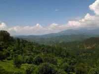  Residential Plot for Sale in Ranikhet, Almora