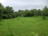  Agricultural Land for Sale in Sangameshwar, Ratnagiri