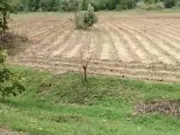  Agricultural Land for Sale in Saoner, Nagpur
