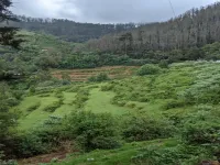 Residential Plot for Sale in Ketti, Ooty