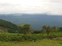  Agricultural Land for Sale in Kotagiri, Nilgiris