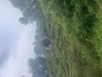  Residential Plot for Sale in Coonoor, Nilgiris