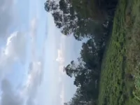  Residential Plot for Sale in Ketti, Nilgiris