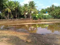  Agricultural Land for Sale in Kundapura, Udupi