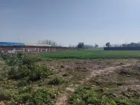  Agricultural Land for Rent in Sidcul NH 73, Haridwar