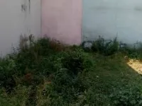  Residential Plot for Sale in Roshnabad, Haridwar