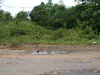  Commercial Land for Sale in Havelock Island, Andaman