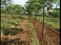  Agricultural Land for Sale in Gannavaram, Vijayawada