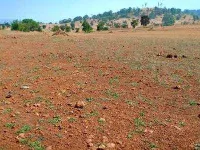  Residential Plot for Sale in Amba, Kolhapur