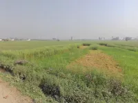  Industrial Land for Sale in Bahadurgarh Bypass