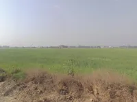  Industrial Land for Sale in Kharkhoda, Sonipat