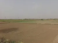  Industrial Land for Sale in Sonepat Road, Rohtak