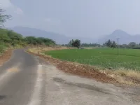  Agricultural Land for Sale in Thuraiyur, Tiruchirappalli
