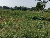  Agricultural Land for Sale in Denkanikottai, Krishnagiri
