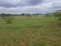 Agricultural Land for Sale in Pavagada, Tumkur