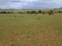  Agricultural Land for Sale in Kalyandurg, Anantapur