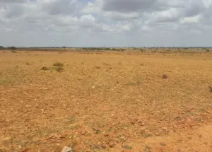 Agricultural Land for Sale in Penukonda, Anantapur